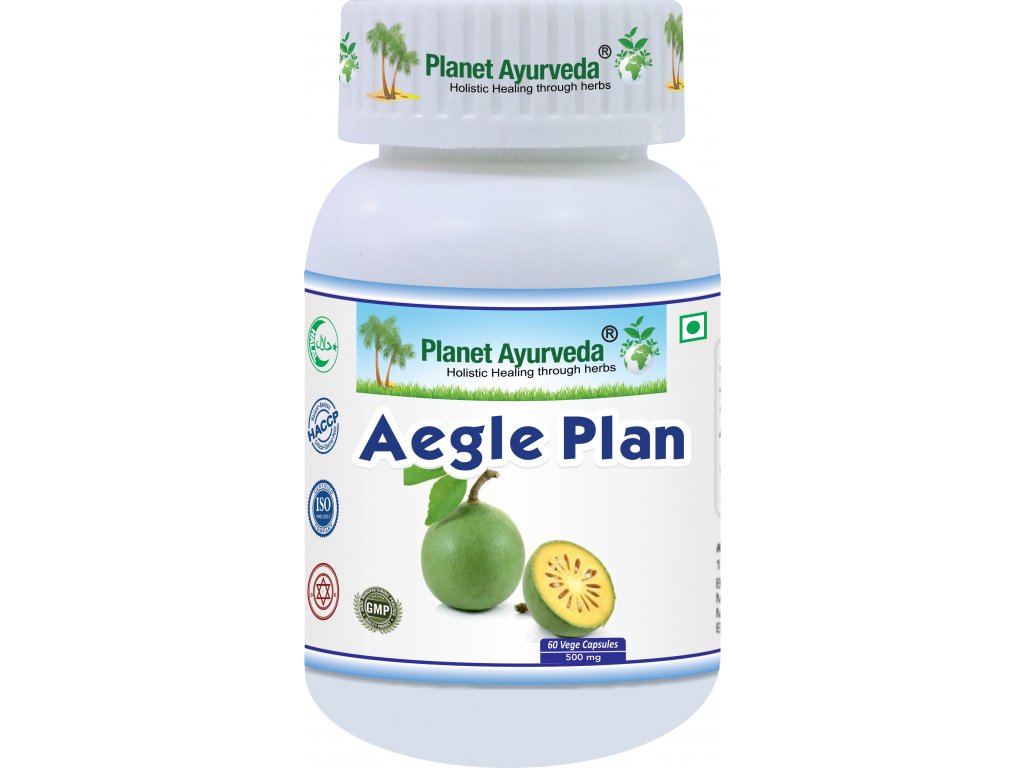 Aegle Plan