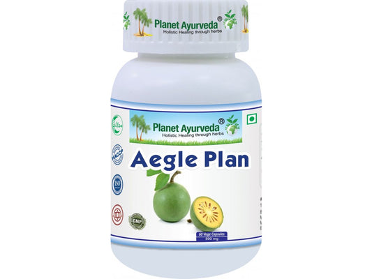 Aegle Plan
