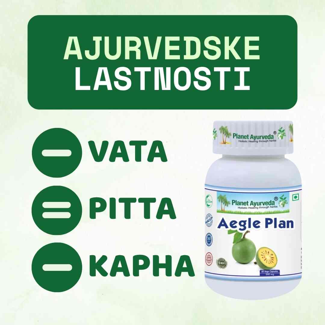 Aegle Plan