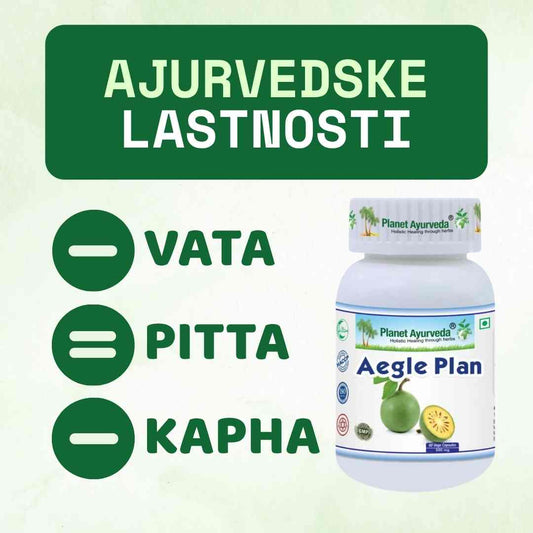 Aegle Plan