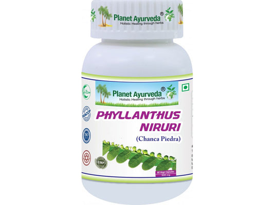 Phyllanthus Niruri – Chanca Piedra