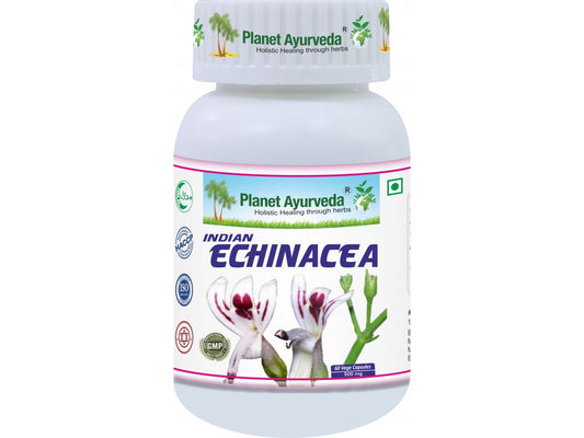 Indian Echinacea