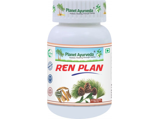 Ren Plan