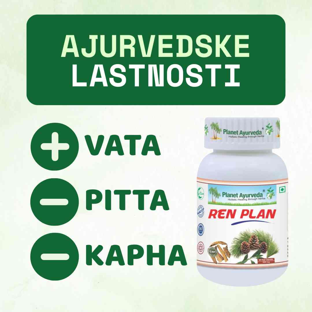 Ren Plan